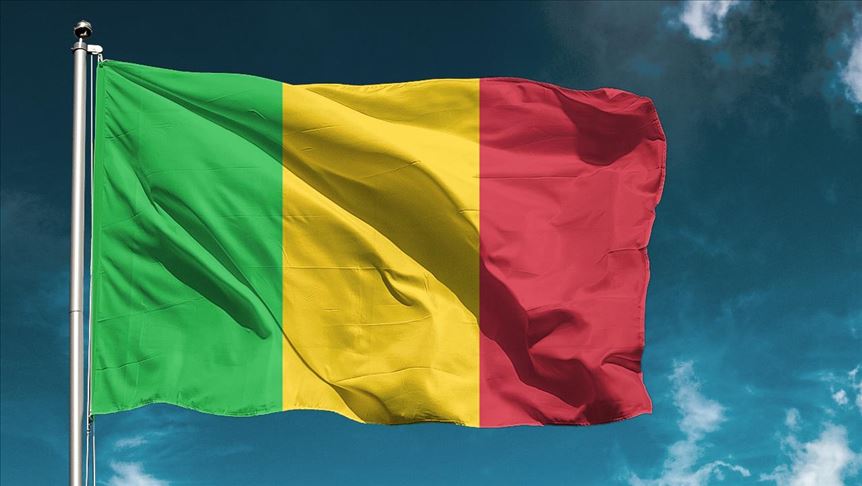 Mali : don émirati de 30 blindés « Cougar » 