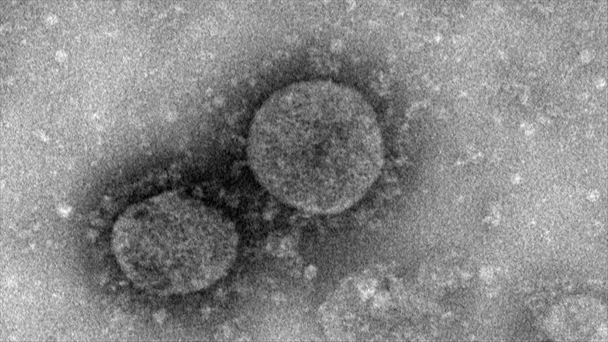 Thailand marks progress in treatment of coronavirus