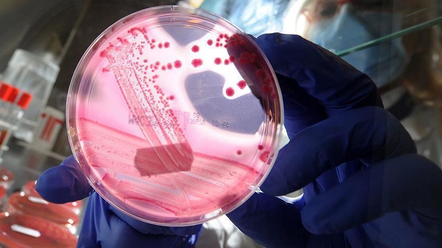 OMS: el cáncer aumentará en un 60% a nivel mundial