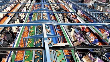 Rusia mund të blejë produkte ushqimore nga Turqia duke zëvendësuar Kinën