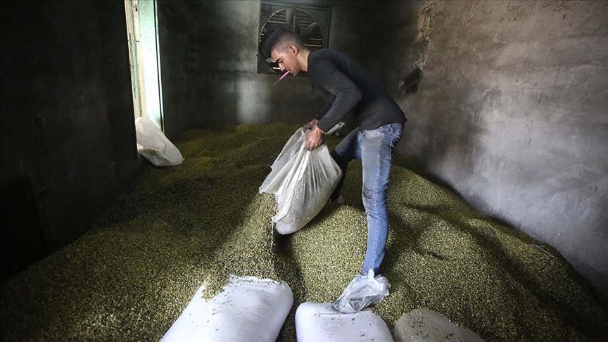 Израел го забрани извозот на земјоделски производи од Палестина