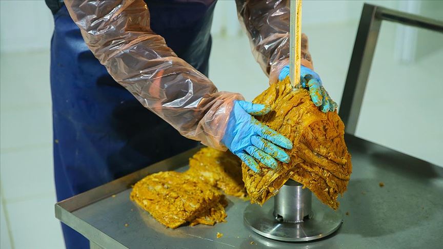 Balik Doner Yurt Disina Aciliyor