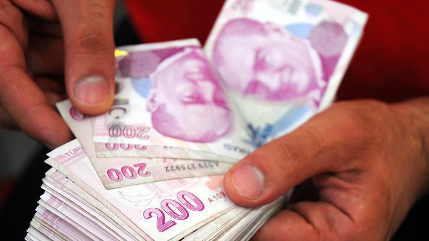 Every Turkish citizen donated $53 last year: Report