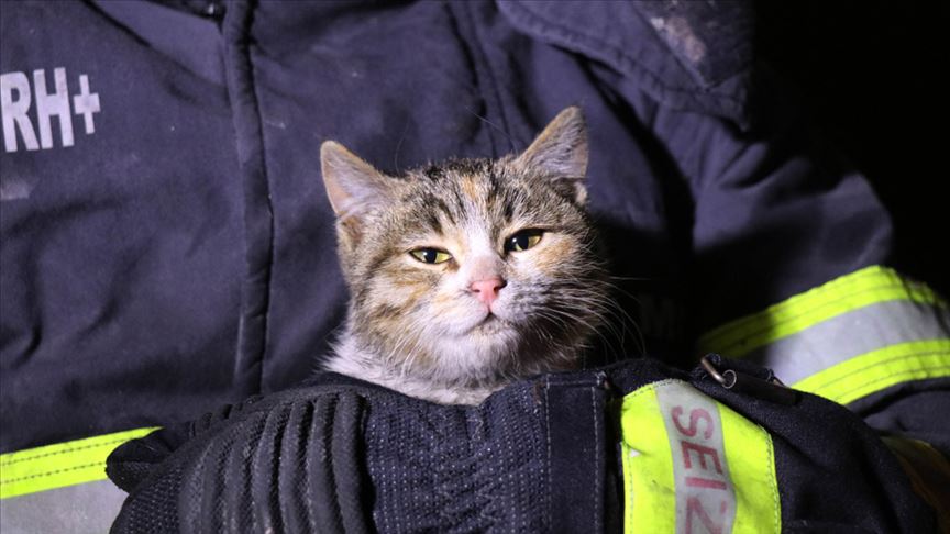 İtfaiye ekipleri yanan evden yavru kediyi kurtardı