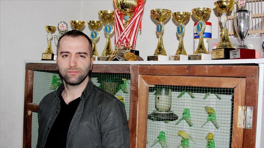 Alacak karşılığı başlayan merakıyla yarışmaların gözde kanaryalarını yetiştiriyor