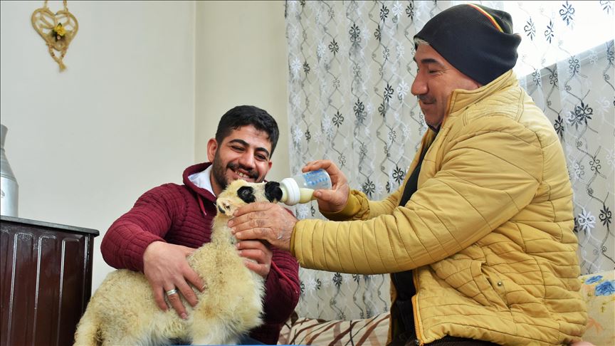 Berxika kor bi destê xwe xwedî dike