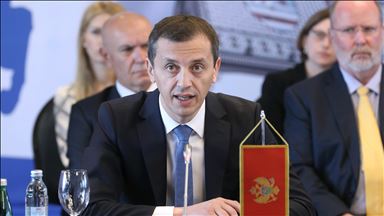 Bošković: Protiv Crne Gore se vodi specijalni rat dezinformacijama