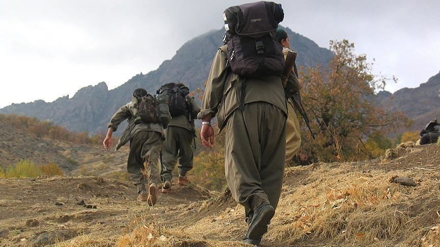 YPG/PKK terrorist surrenders to Turkish forces