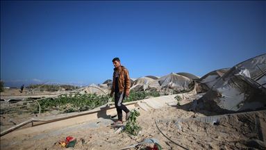 La tasa de desempleo juvenil en la Franja de Gaza llega al 70%