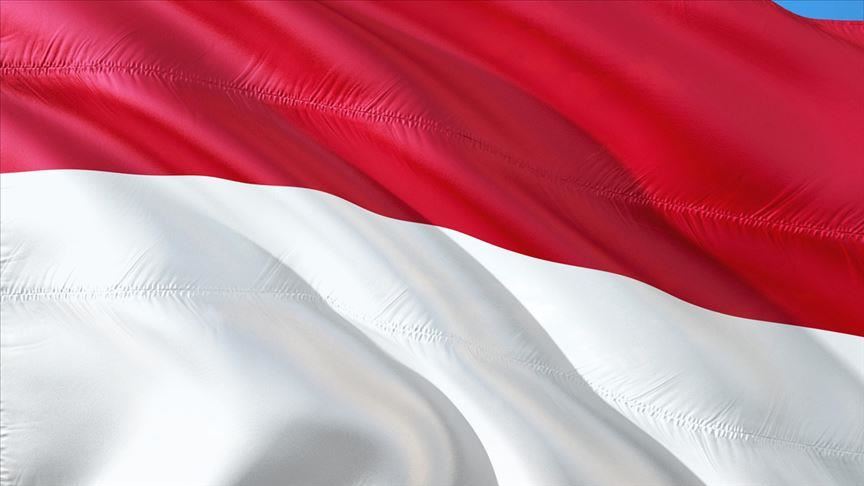 Indonesia records 21 new bird species