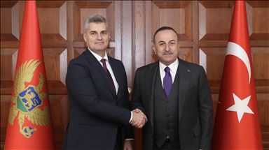 Turkey top diplomat meets Montenegro parliament speaker