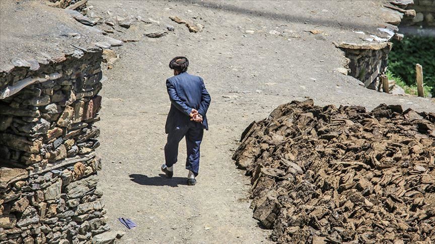 Ji 7 hezar zimanên ku li ser rûyê dinyayê tên axaftin nîvekî wan di binê xetereya bîrkirinê da ne