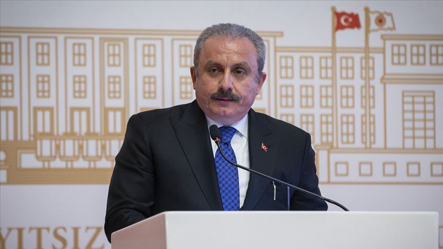 TBMM Başkanı Şentop: Almanya'da ırkçı eylemlerin geliştiğini endişeyle takip ediyoruz