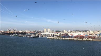 Cooperation in key areas can boost Turkey-Portugal trade