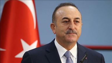 Cavusoglu rencontre une délégation du Parlement européen