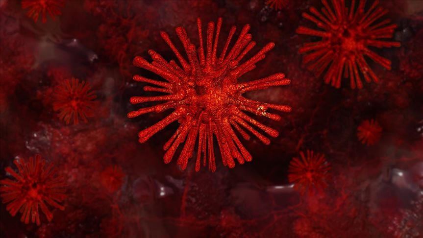 Bahrain confirms 3 new cases of novel coronavirus
