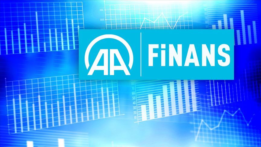 AA Finans 2019 Büyüme Beklenti Anketi sonuçlandı 