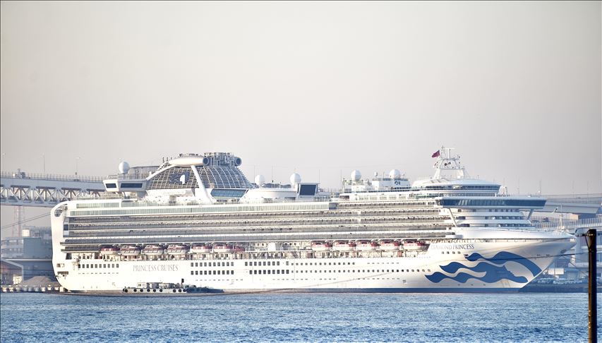 Pemerintah: Evakuasi WNI Diamond Princess dilakukan 1-2 hari mendatang
