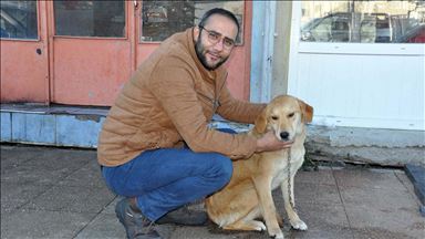 Sokak hayvanlarının gönüllü veterinerliğini yapıyor
