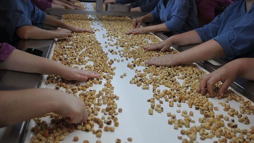 Turkey earns $1.44B from hazelnut exports in 6 months