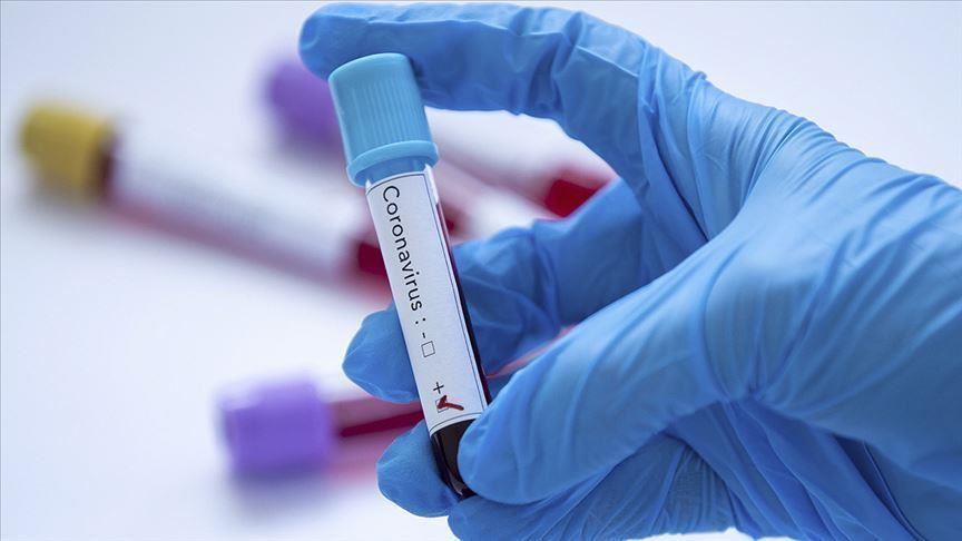 Coronavirus infections in Qatar rise to 12