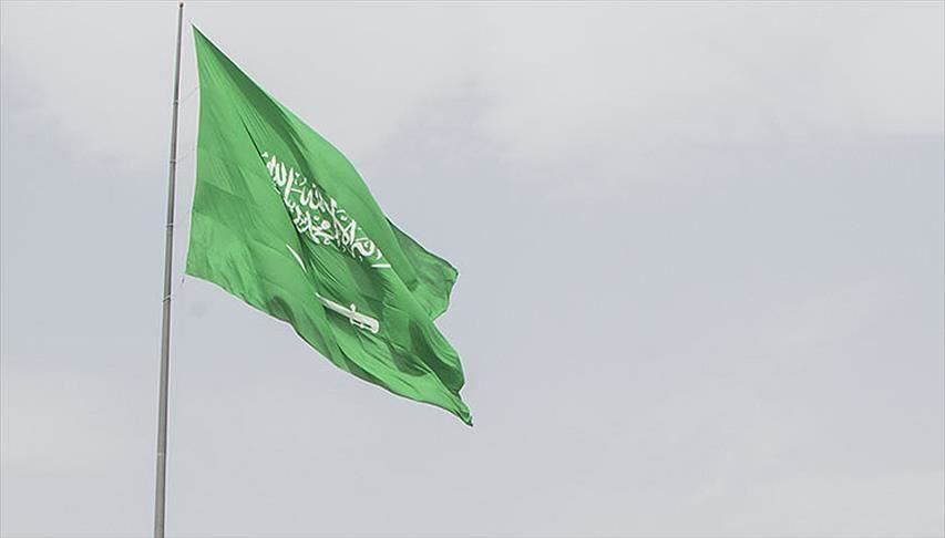 Saudi Arabia detains top royal family members: report