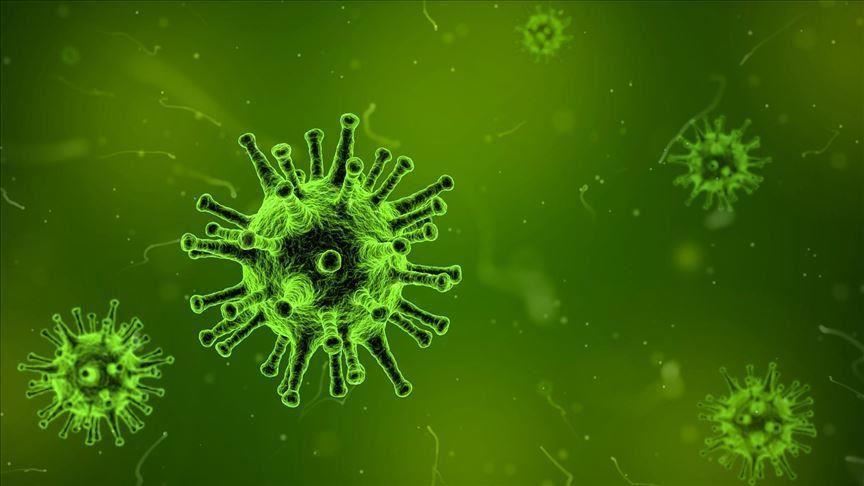Coronavirus cases continue to rise in Europe
