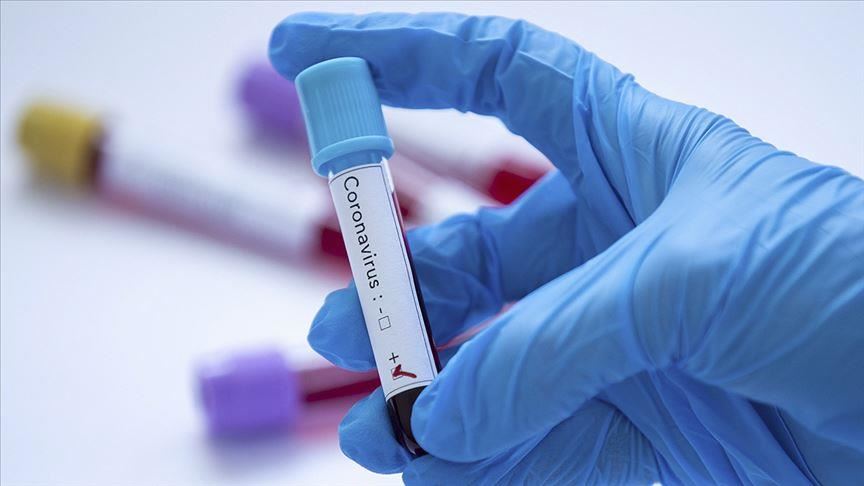 Northern Cyprus reports first coronavirus case