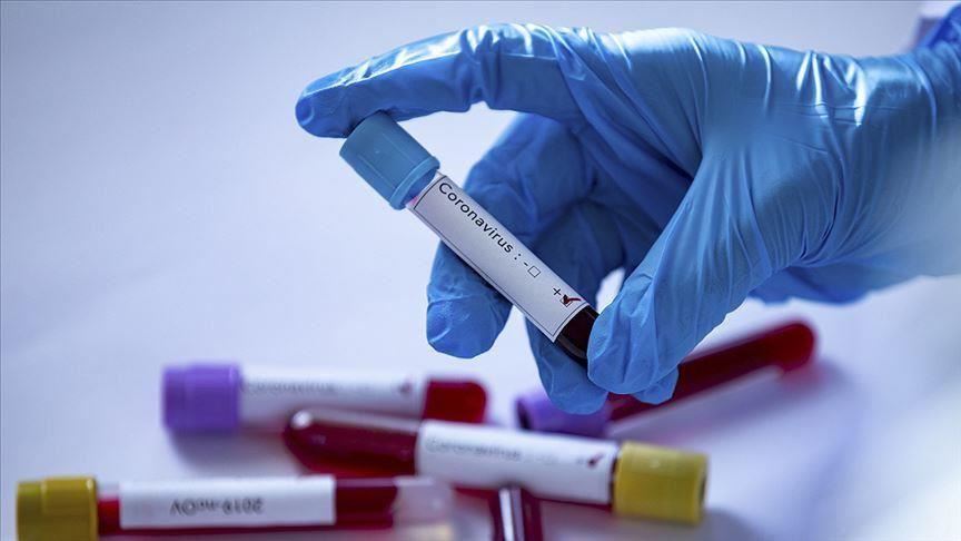 France / Covid-19 : le bilan s'alourdit à 2281 contaminations dont 48 décès