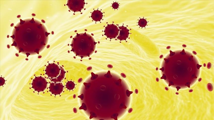 Four Arab states report new coronavirus cases