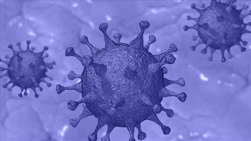 Kuwait, Jordan report new coronavirus cases