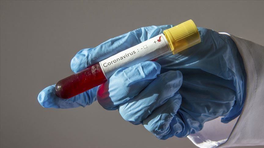 Israel's envoy to Germany tests positive for COVID-19