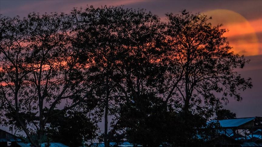 Líder indígena: “Si el Amazonas cae, todos caeremos”