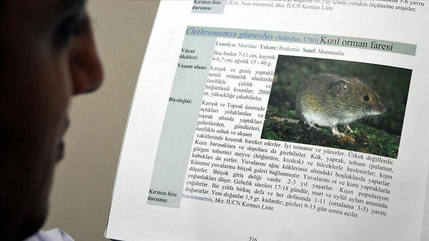 Një person vdes nga "hantavirusi" në Kinë, shkakton shqetësim për epidemi 