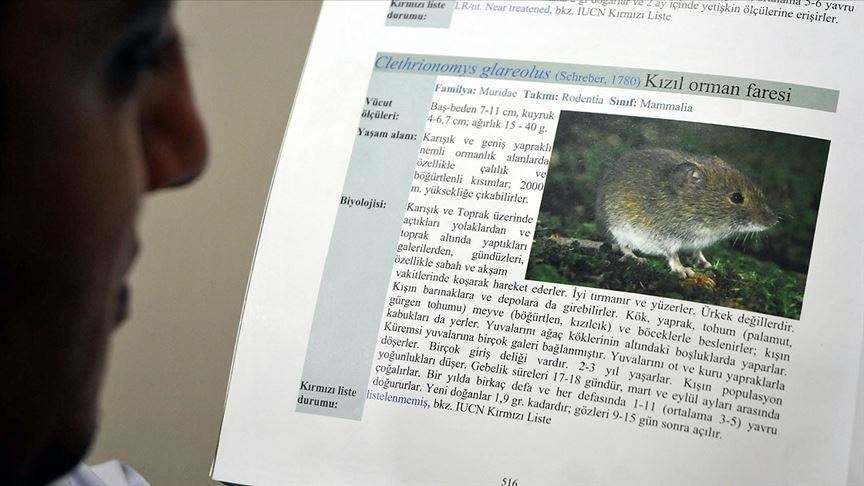 الصين.. حالة وفاة بـ"فيروس هنتا" يثير المخاوف بانتشار وباء جديد