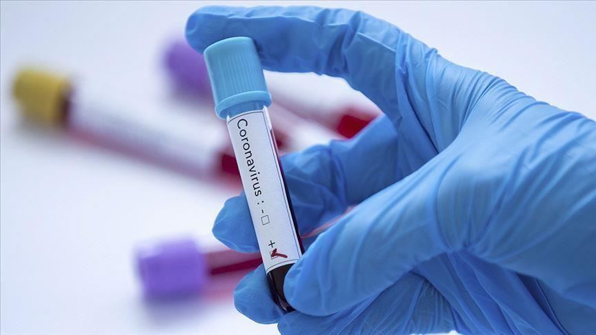 11 Arab states register new coronavirus cases