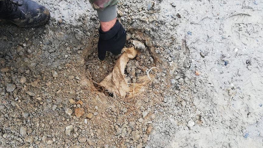 Roadside bomb planted by PKK destroyed in SE Turkey