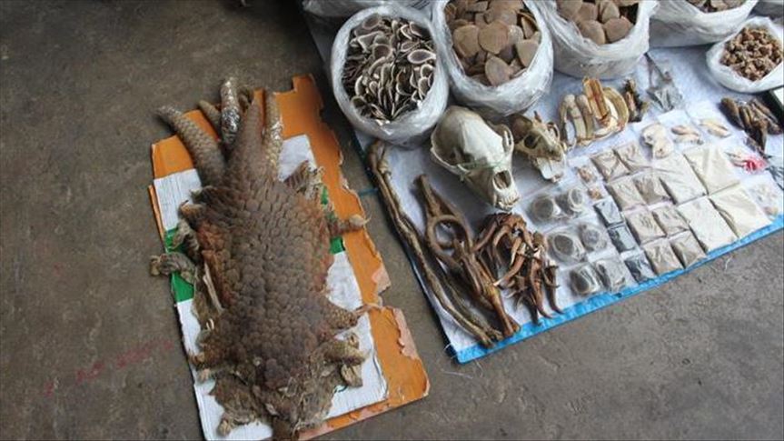 Time is ripe to shut wildlife markets: Advocate group