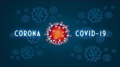 OPINION - Just one virus to question them all