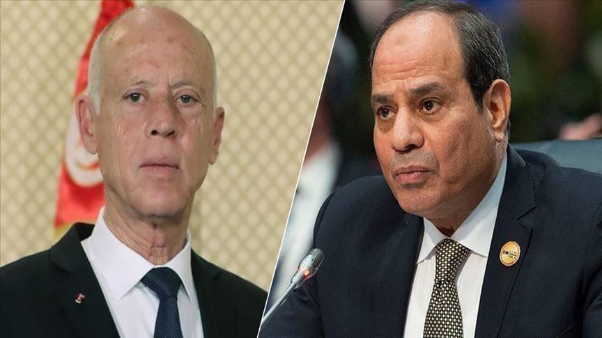 الرئيسان التونسي والمصري يبحثان الوضع الليبي ومكافحة كورونا
