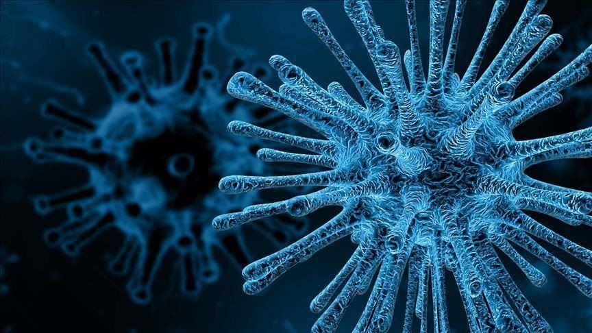 US expects up to 200K deaths if virus response perfect