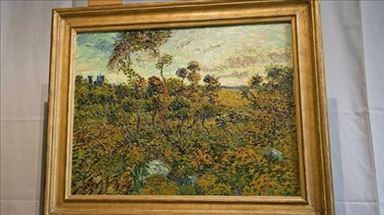 Van Gogh painting stolen from Dutch museum
