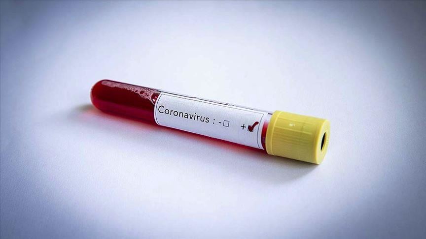 Number of coronavirus cases in Russia climbs to 2,337