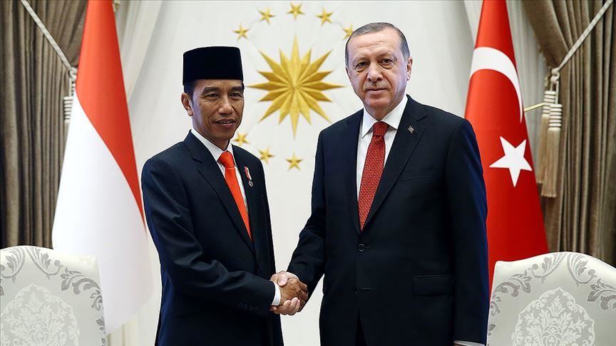 Лидеры Турции и Индонезии обсудили тему пандемии коронавируса