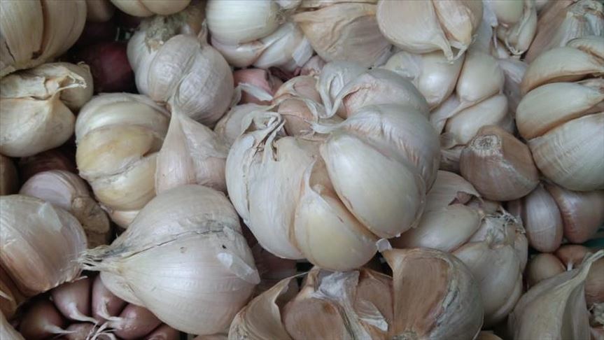 Pemerintah Pekan Depan Harga Gula Dan Bawang Putih Kembali Normal
