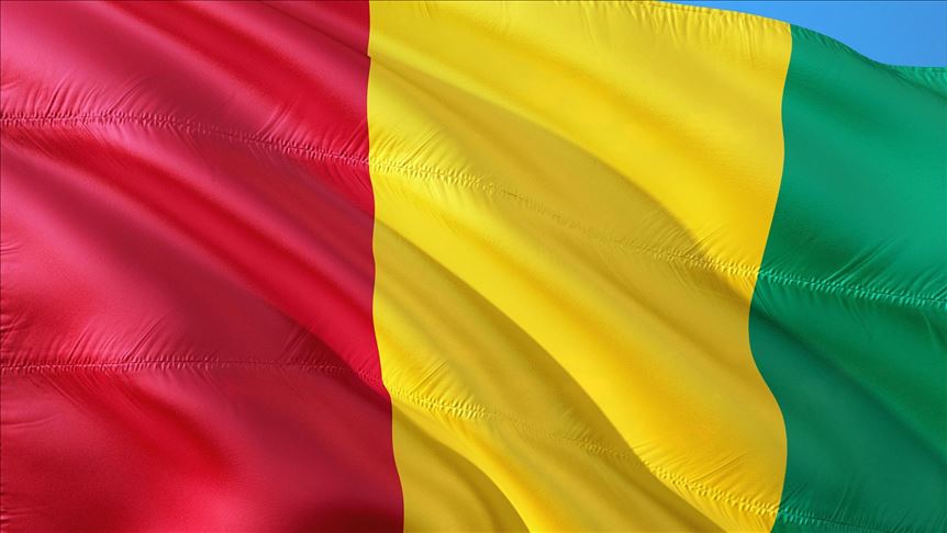 Guinea: Ruling party wins constitutional referendum