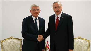 Džaferović razgovarao sa Erdoganom o borbi protiv pandemije koronavirusa