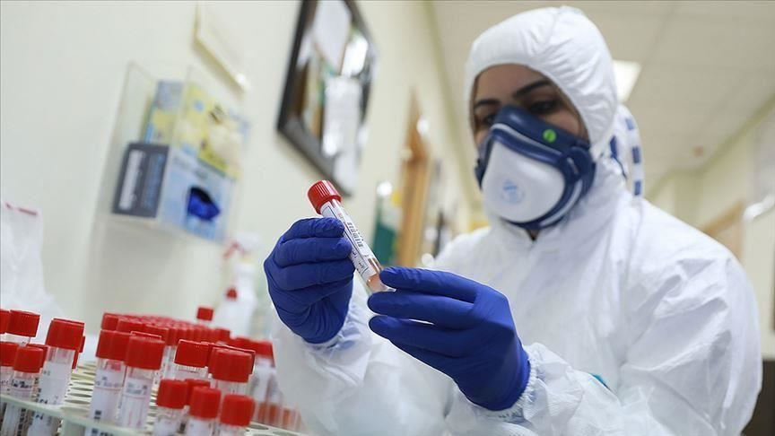 "الصحة" الفلسطينية: ارتفاع المصابين بفيروس كورونا إلى 252 