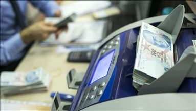 Fitch Ratings: la economía turca seguirá creciendo después del COVID-19