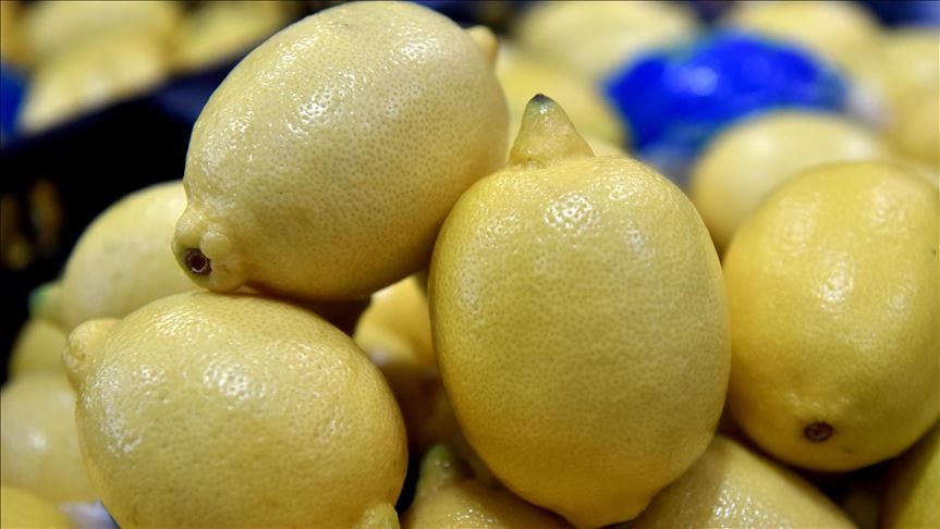 Turki batasi ekspor lemon di tengah wabah korona